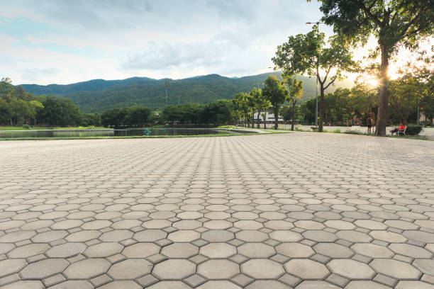 Best Affordable Driveway Paving  in Newberry, FL